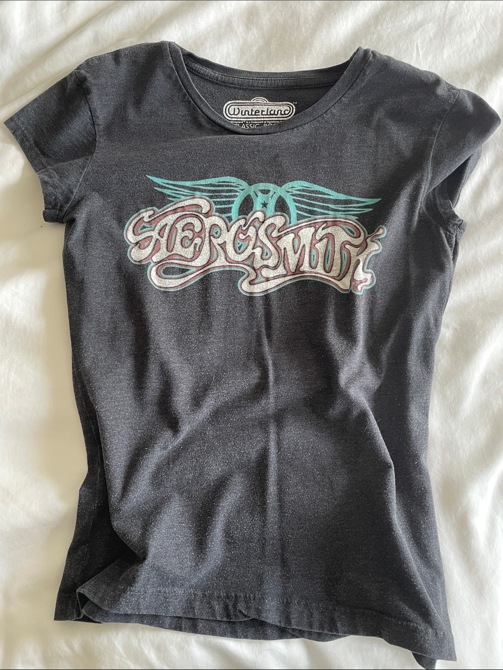 Gray Short-Sleeve Aerosmith tee Winterland. Vintage. ***see description***
